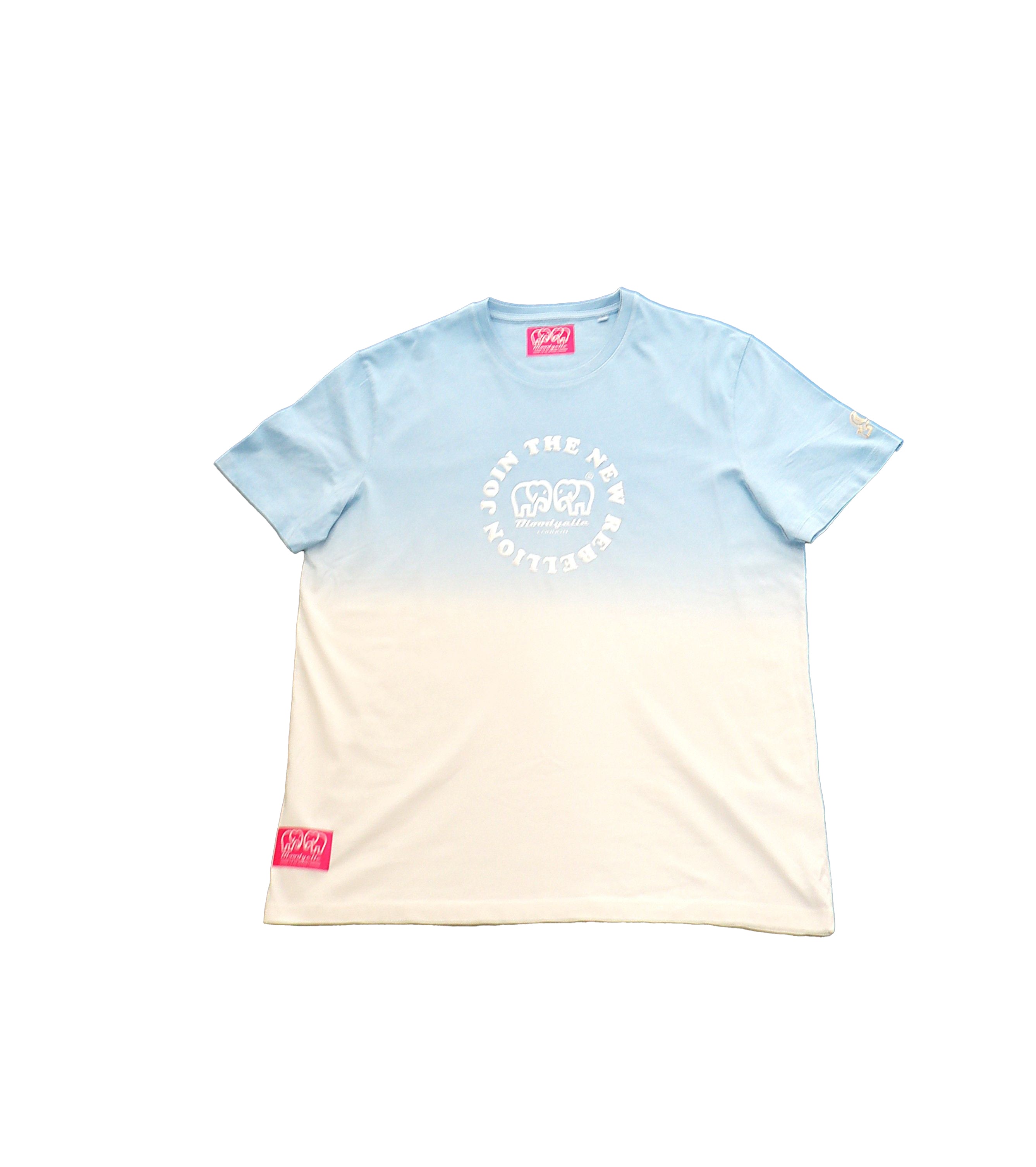 Medium Logo Aqua Blue and Silver Puff T-Shirt