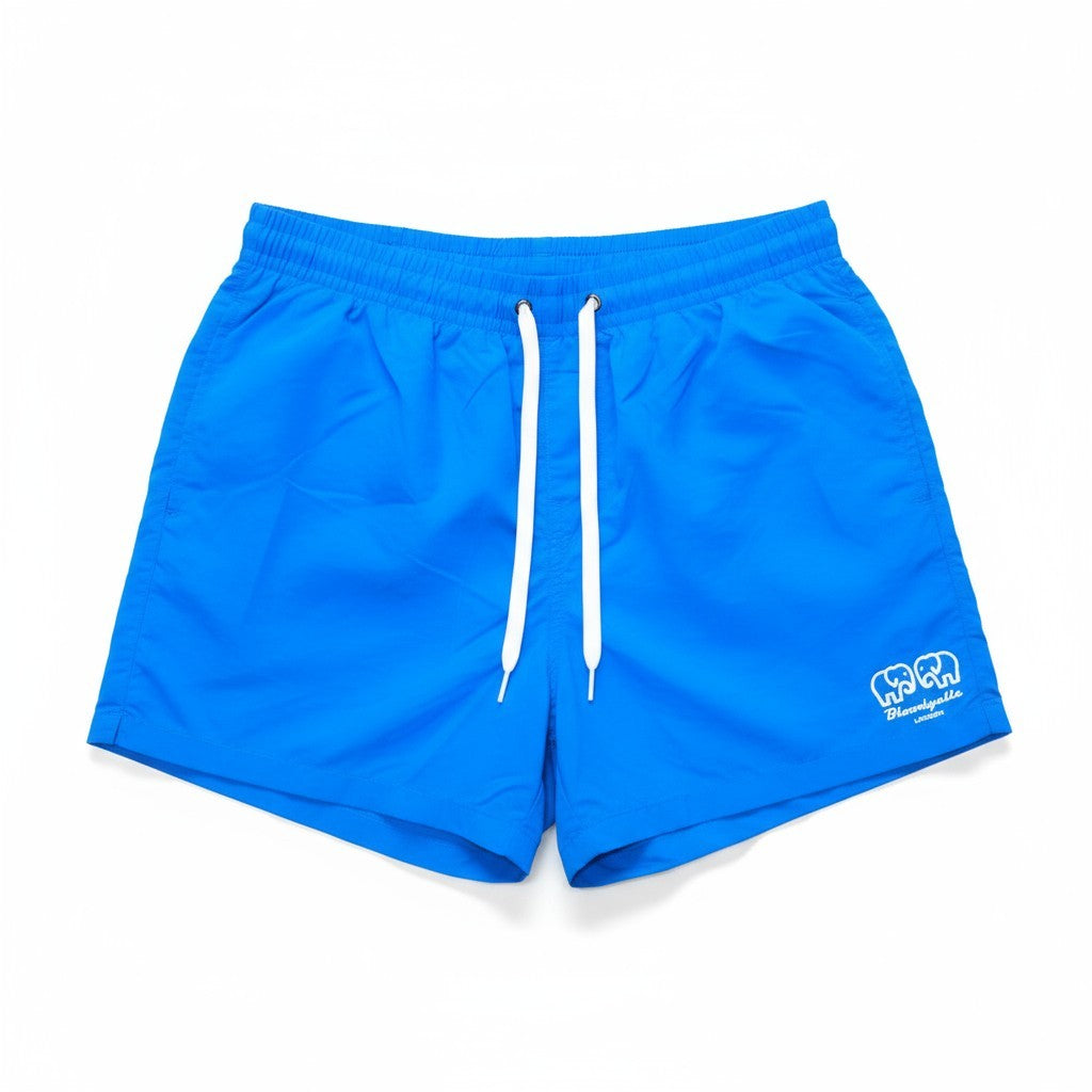 Aqua Blue Swim Shorts