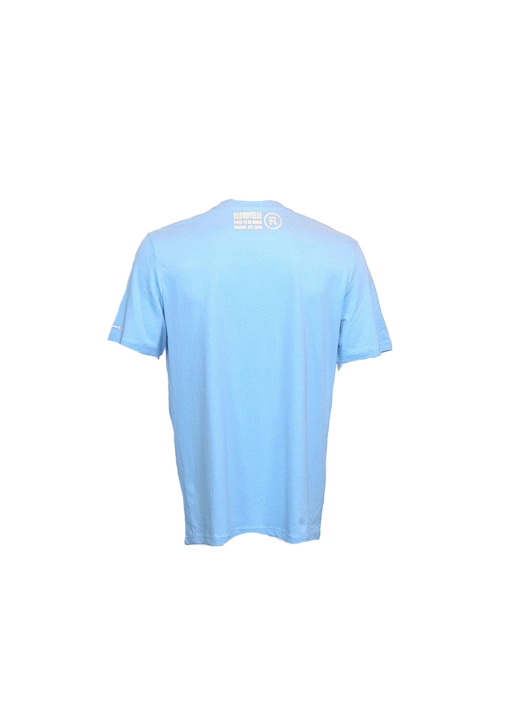 Greek Legends 2 Light Blue T-Shirt