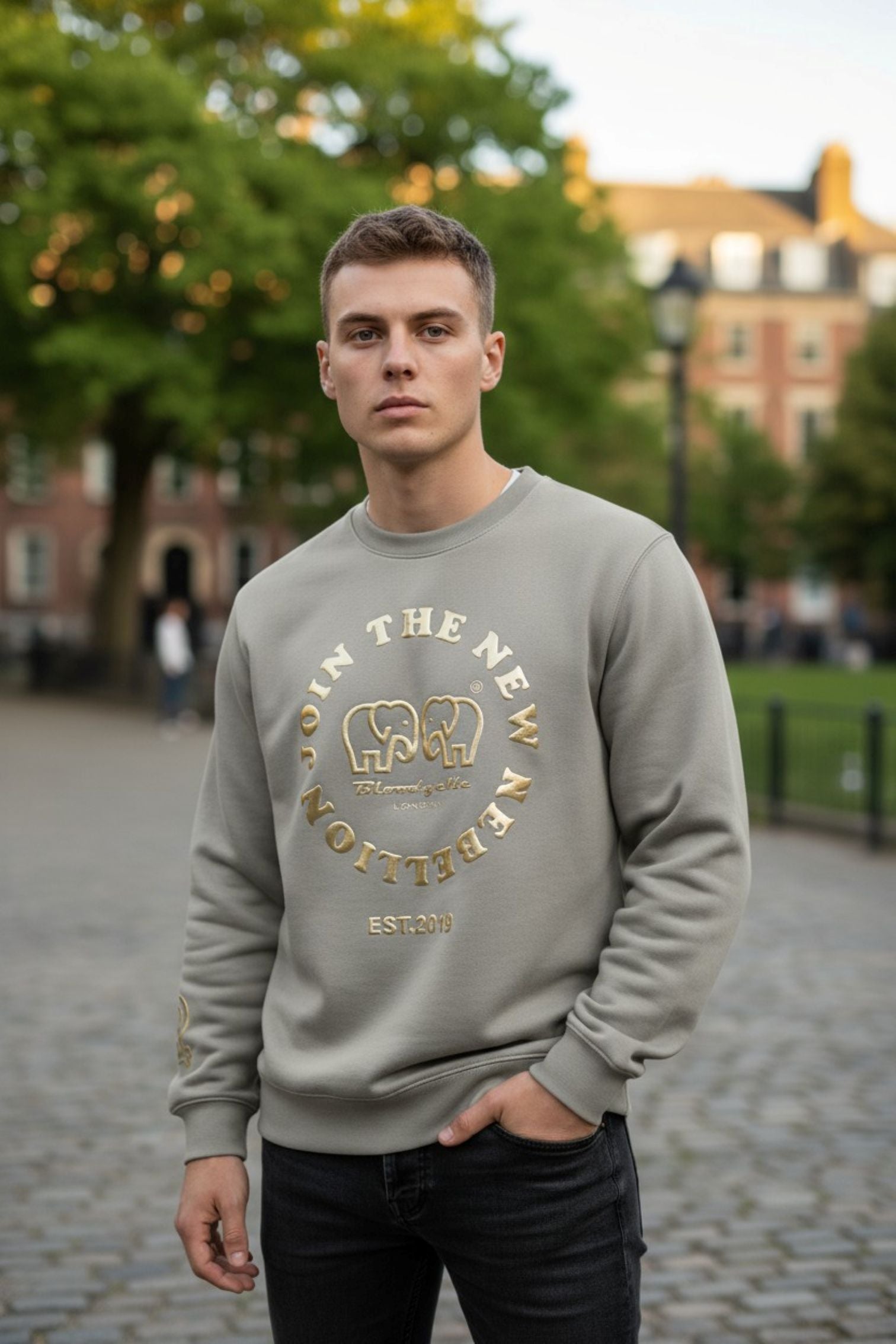 Stone and Gold Puff Sweatshirt
